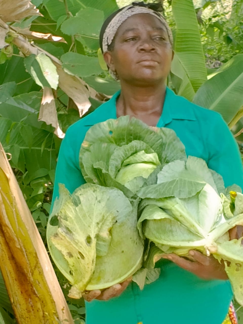 Networking & Advocacy