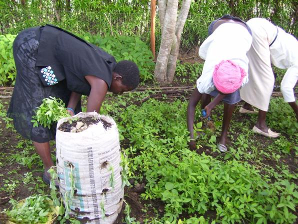 Food Security & Environment